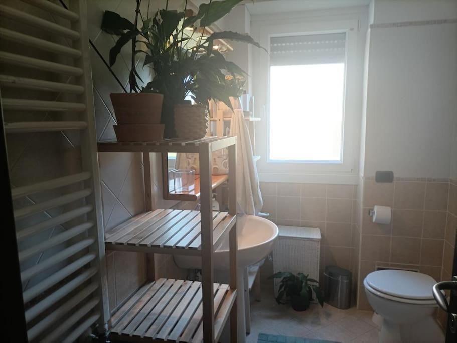 Mia Ginger, Stazione Trastevere Vicinanze Rom Eksteriør billede