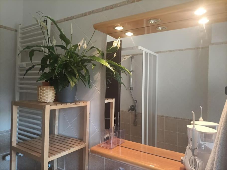 Mia Ginger, Stazione Trastevere Vicinanze Rom Eksteriør billede
